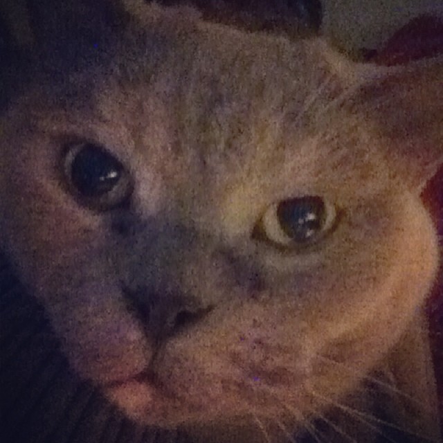 Whoooops camera …
