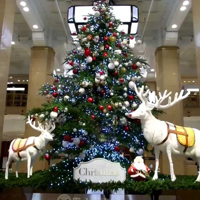 [Video] Christmas everywhere #tokyo