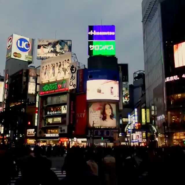 [Video] Tokyo Shibuya crossing. #tokyo