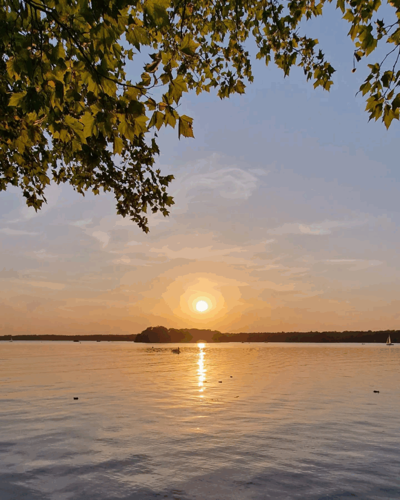 #LakeTegel #TegelerSee #Berlin

#Berlin #BerlinPhotography #photooftheday #nature #city #travel #urbanlife #wittenau #reinickendorf #NaturePhotography #BerlinVibes #UrbanPhotography #VisualOfTheDay
