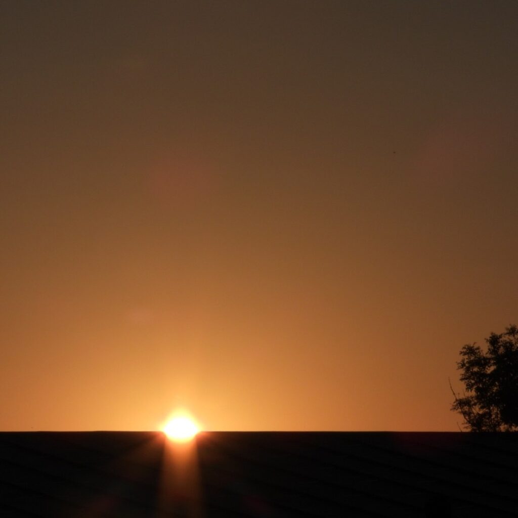 #Sunset over the rooftops of #Berlin

#Berlin #BerlinPhotography #photography #photooftheday #nature #city #travel #urbanlife #BerlinVibes #streetlife #UrbanPhotography #VisualOfTheDay