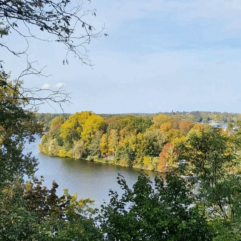 Autumn colors on #Lindwerder #Berlin Island as viewed from the #Grunewald