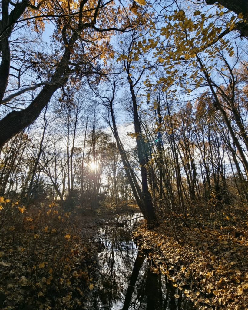 beautiful ☀️ day in the park 🌳

#Berlin #Germany #photography #BerlinPhotography #photooftheday #nature #city #travel #urbanlife #reinickendorf #NaturePhotography #UrbanPhotography