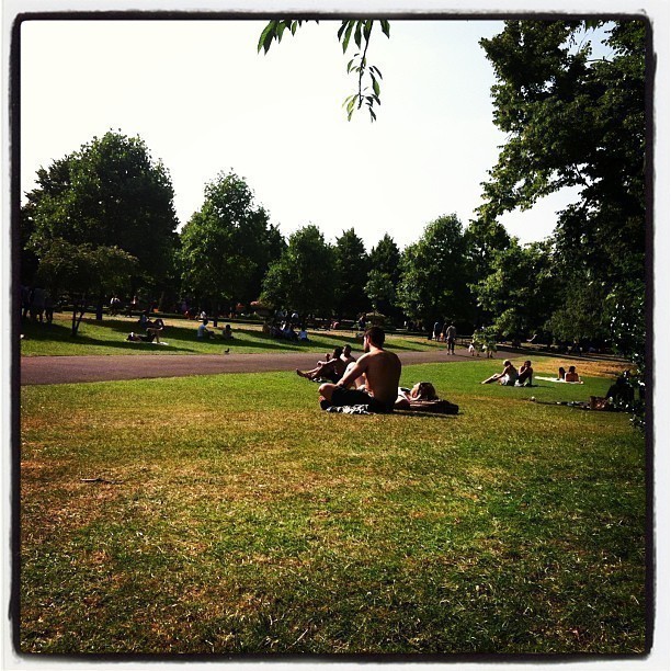 A day in the park.
