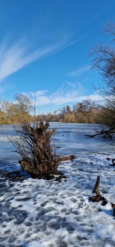 Beautiful last day of #Winter Season 24/25
.
.
#Berlin #Germany #photography #BerlinPhotography #photooftheday #nature #city #travel #urbanlife #reinickendorf #NaturePhotography #UrbanPhotography
