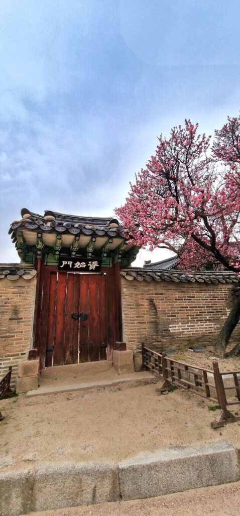 Signs of #Sakura 😍 #Seoul