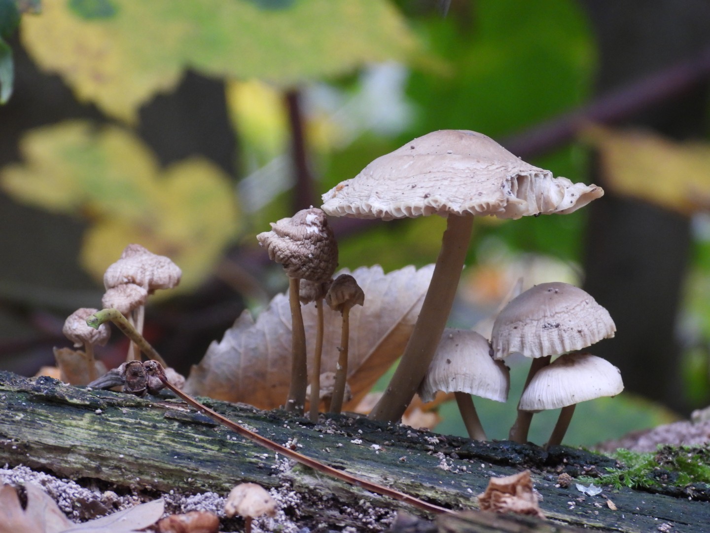 Today in the #forest.