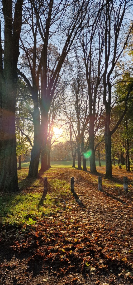 On the way to work. #TriftPark #autumn #Berlin