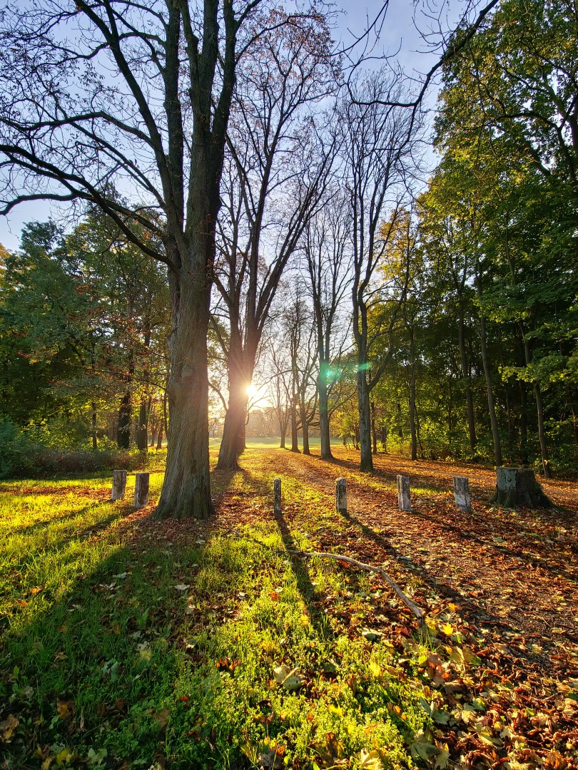 Beautiful morning stroll through the park to the station and off to work…