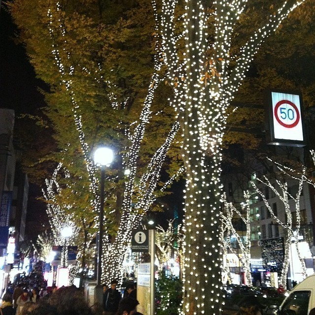 #tokyo Christmas lights