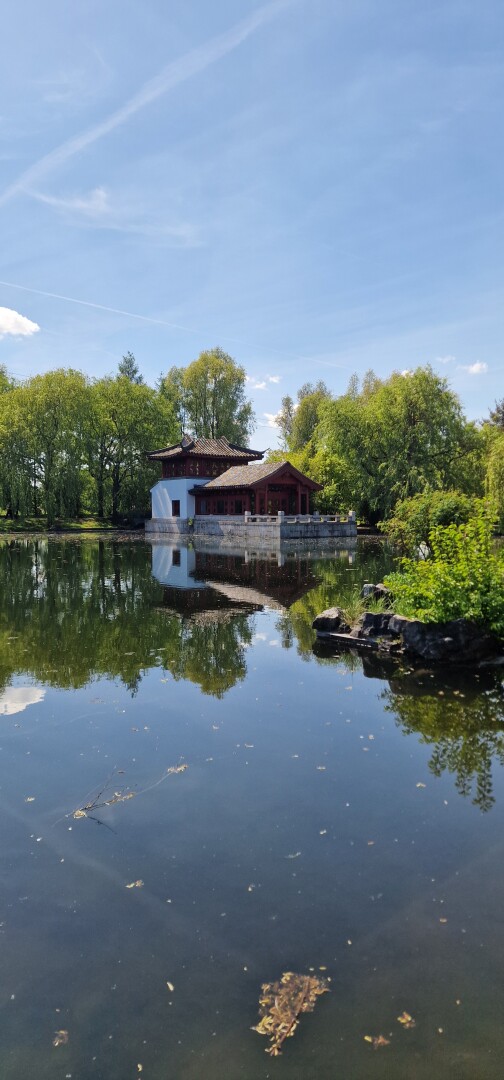 Chinese and Korean Garden at Gärten der Welt in Berlin 💕