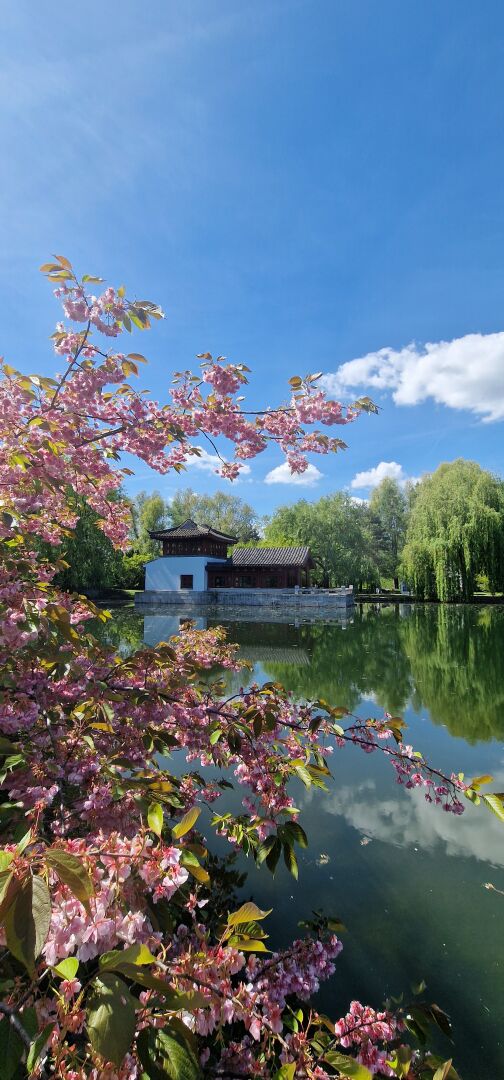 Always a beautiful trip – Gärten der Welt in Berlin