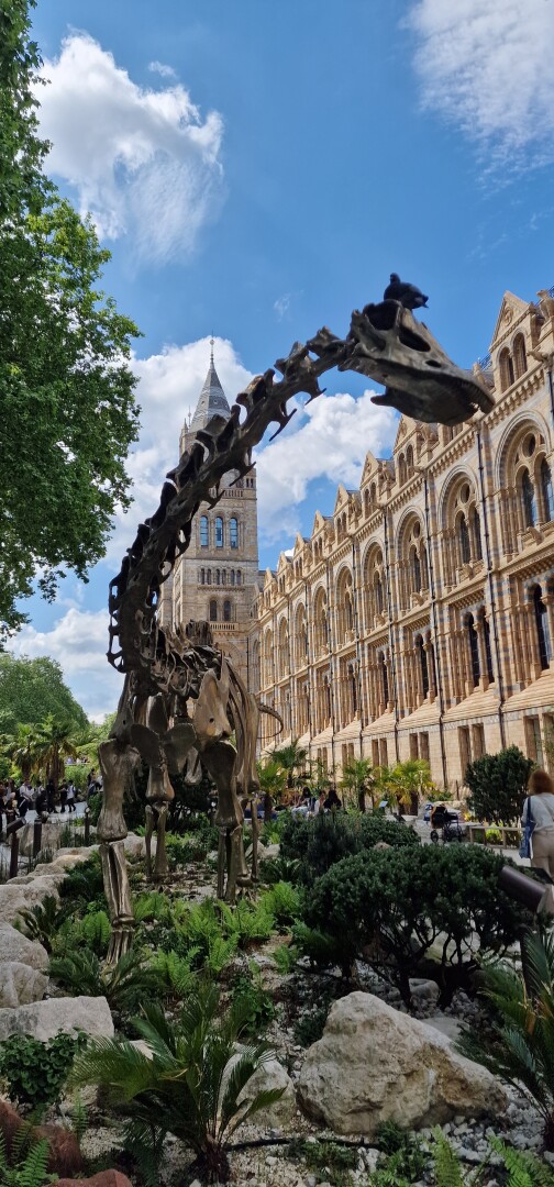 It’s great to be back : London ☀️ Natural History Museum. Love the new dinosaur garden outside the museum with plants from yesteryear…