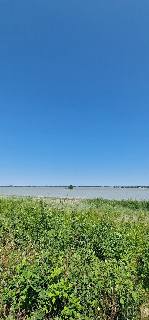 These pictures don’t reflect what this landscape really looks like. it’s and old brown coal mining area that has been renaturated and what started as a barren moon-like landscape is now sanctuary to rare insects, home to many birds and a yearly stop-over for Cranes. This whole project has been made possible due to many dedicated people in addition to Heinz and Inge Sielmann who purchased the first 772 hectares 25 years ago 🙏🏻