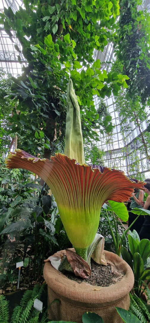 Isn’t nature amazing? All these forms and colors and variety of