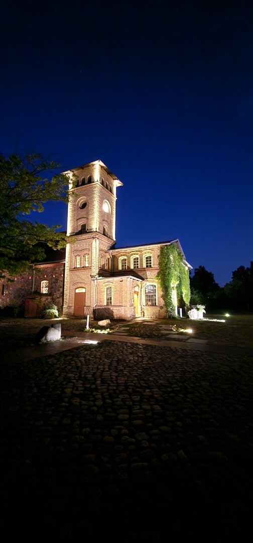 A few weeks ago we went to a special tour to watch bats at nightfall in