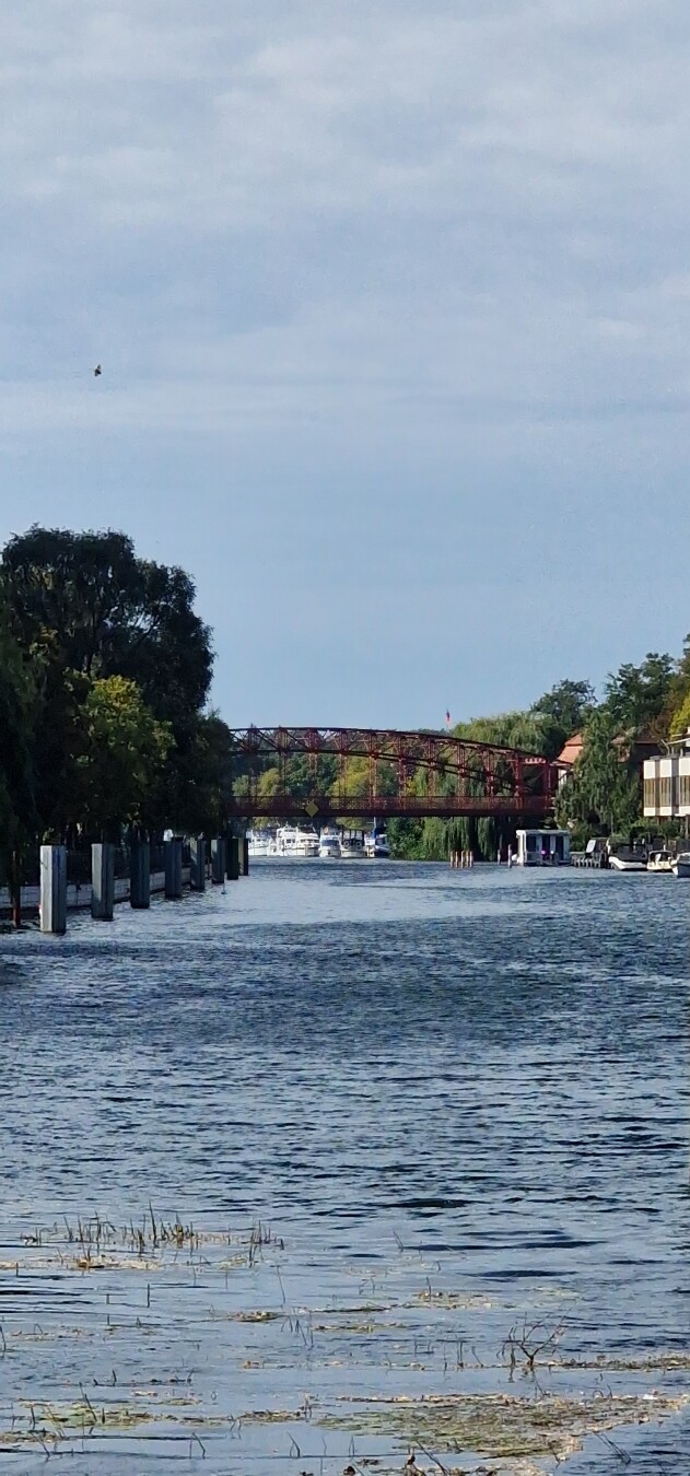 Tegel in Berlin 💕