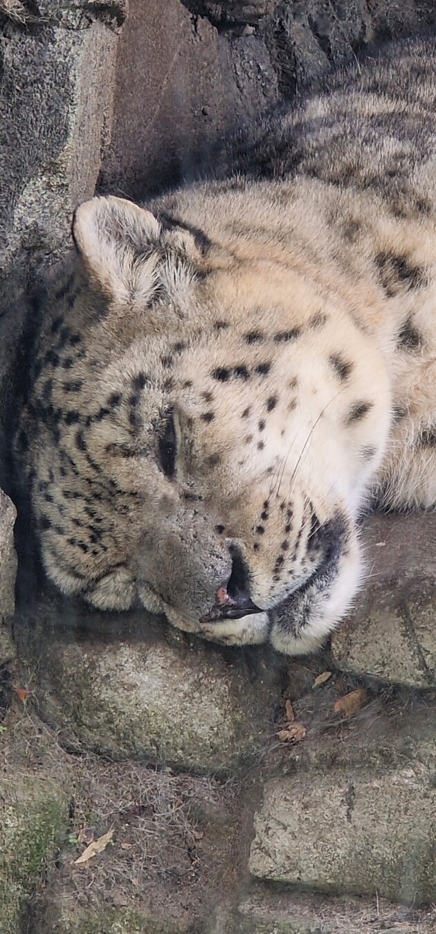 Tierpark Berlin