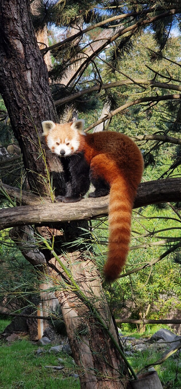 Tierpark Berlin