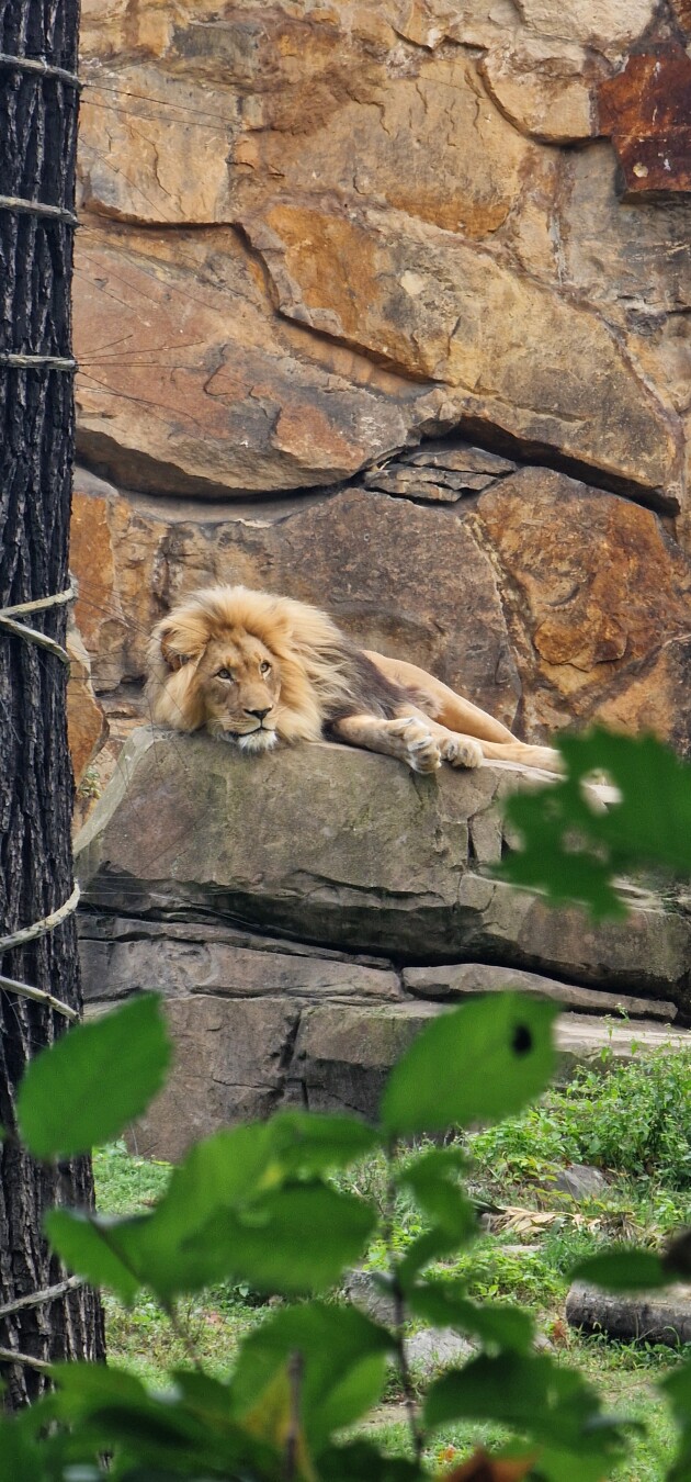 The first one is my mood today albeit this was at the Zoo and Aquarium yesterday 😂