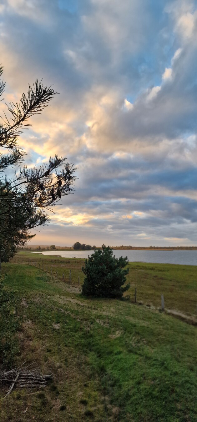 Beautiful trip to Gülper Lake yesterday to do some bird watching before the last geese and Cranes depart to the South which loads of them did today.