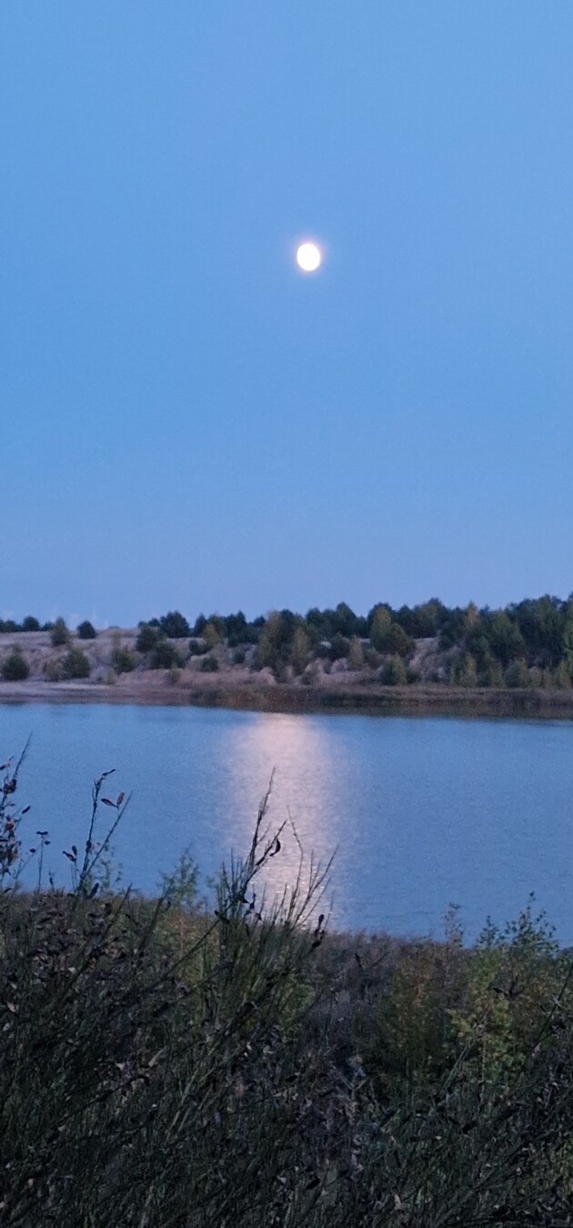 The Moons reflection on the lake 💕 Wanninchen at Heinz Sielmann Stiftung